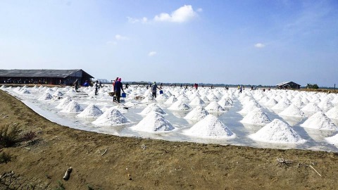 เกลือเพชรสาคร