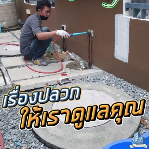 กำจัดปลวกใกล้ฉัน