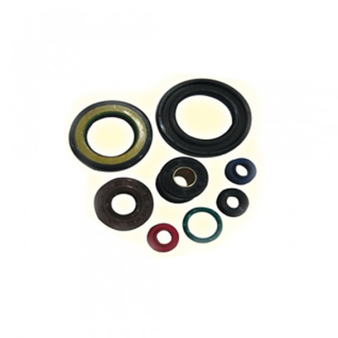  Oil seal