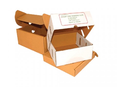 กล่องไดคัท