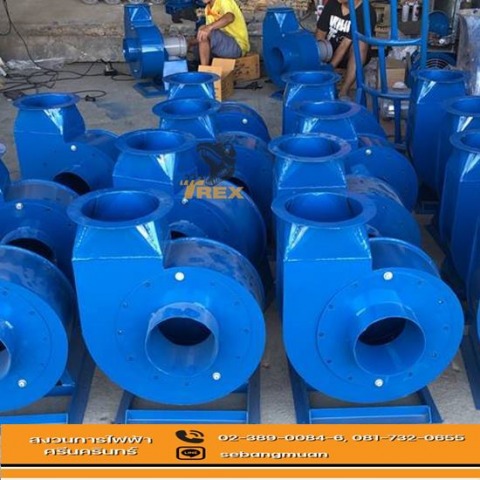 โบลเออร์แบคเวิร์ธ