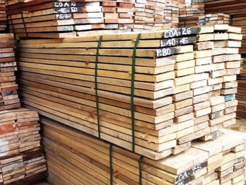 ไม้เบญจพรรณราคาถูก