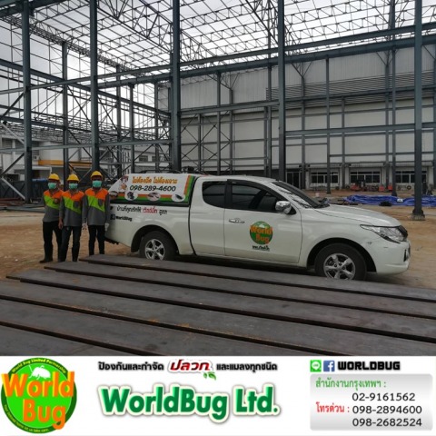 รับกําจัดปลวก กรุงเทพมหานคร