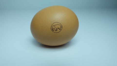 พิมพ์โลโก้ลงวัตถุ