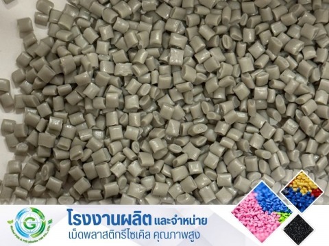 PP เทา (2)