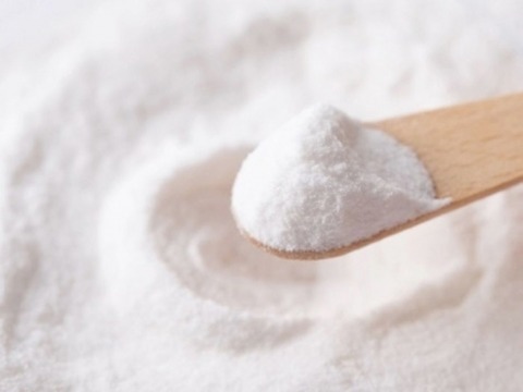 กันบูดจีนผง