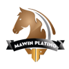 Mawin Plating Co., Ltd.