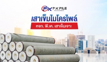 เสาเข็มไมโครไพล์