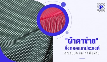 ผ้าตาข่าย