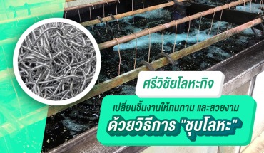 ชุบโลหะ