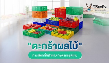 ตะกร้าผลไม้