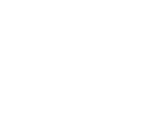 musician