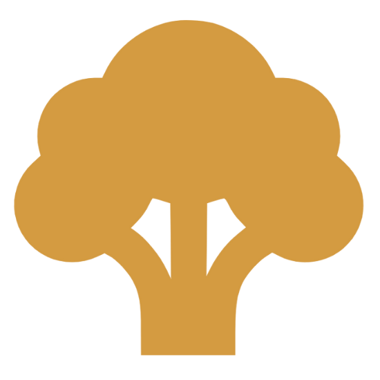 Catalog - เอเดน เนอร์สซิ่ง โฮม (3)