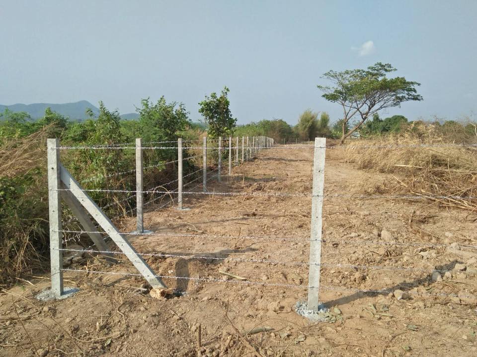 รับทำรั้วลวดหนาม ปทุมธานี