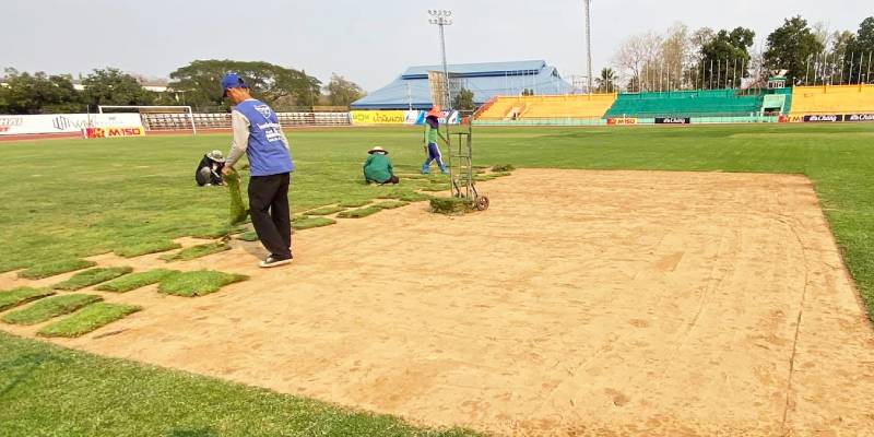 รับทำสนามหญ้า ปูสนามหญ้า