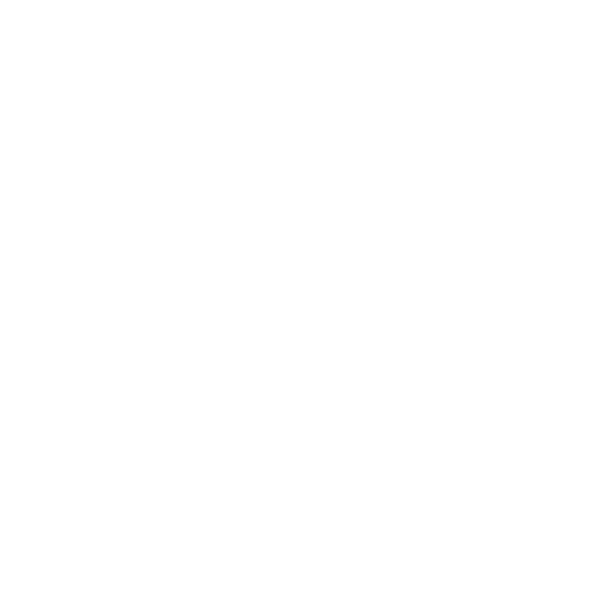 100 %2B งานที่สำเร็จ