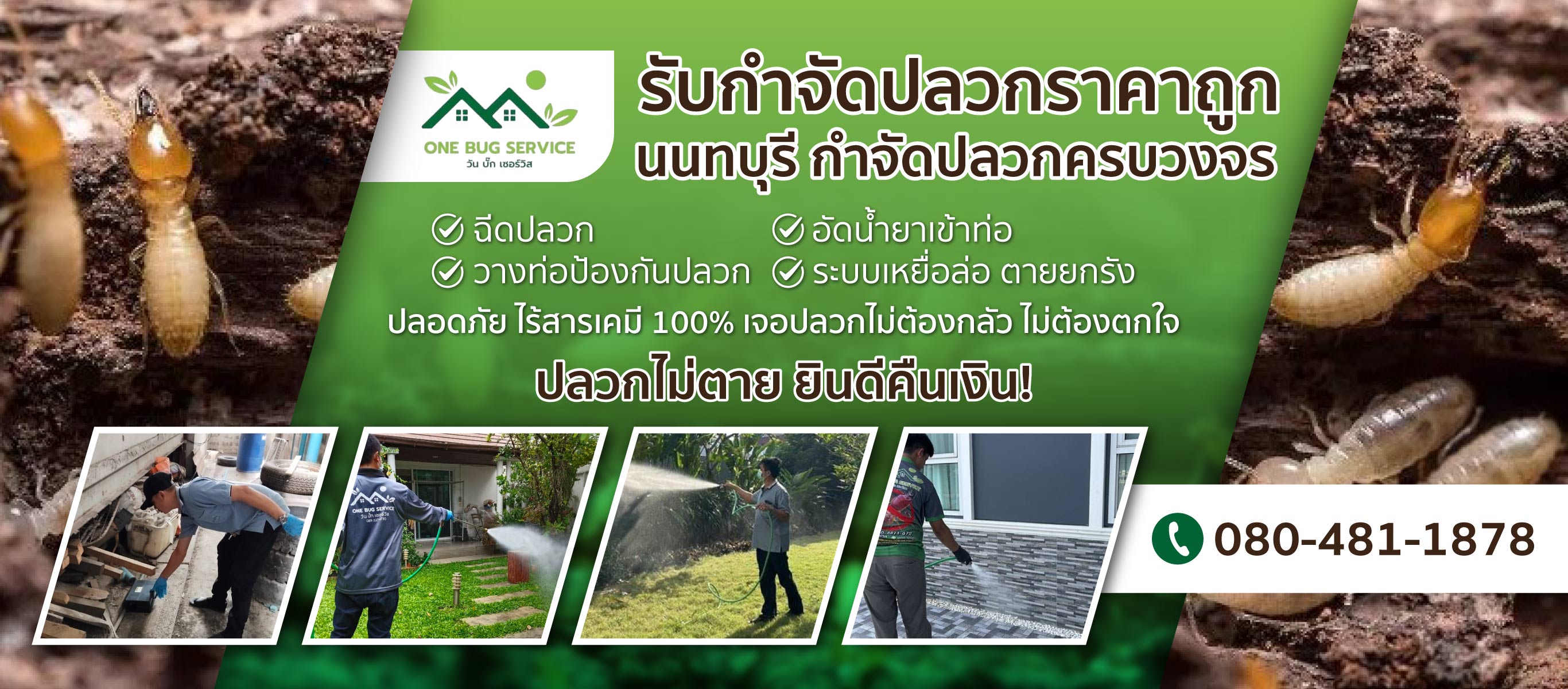 บริษัทกำจัดปลวกตายยกรัง นนทบุรี