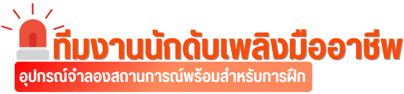 ทีมงานนักดับเพลิงมืออาชีพ
