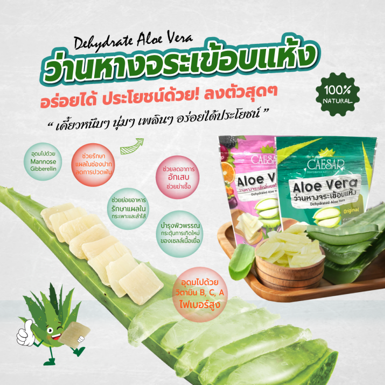 ขายส่งชิบว่านหางจระเข้อบแห้ง Aloe Vera ราคาส่ง