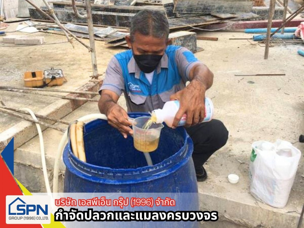 รับกำจัดแมลงสาบ ราคา