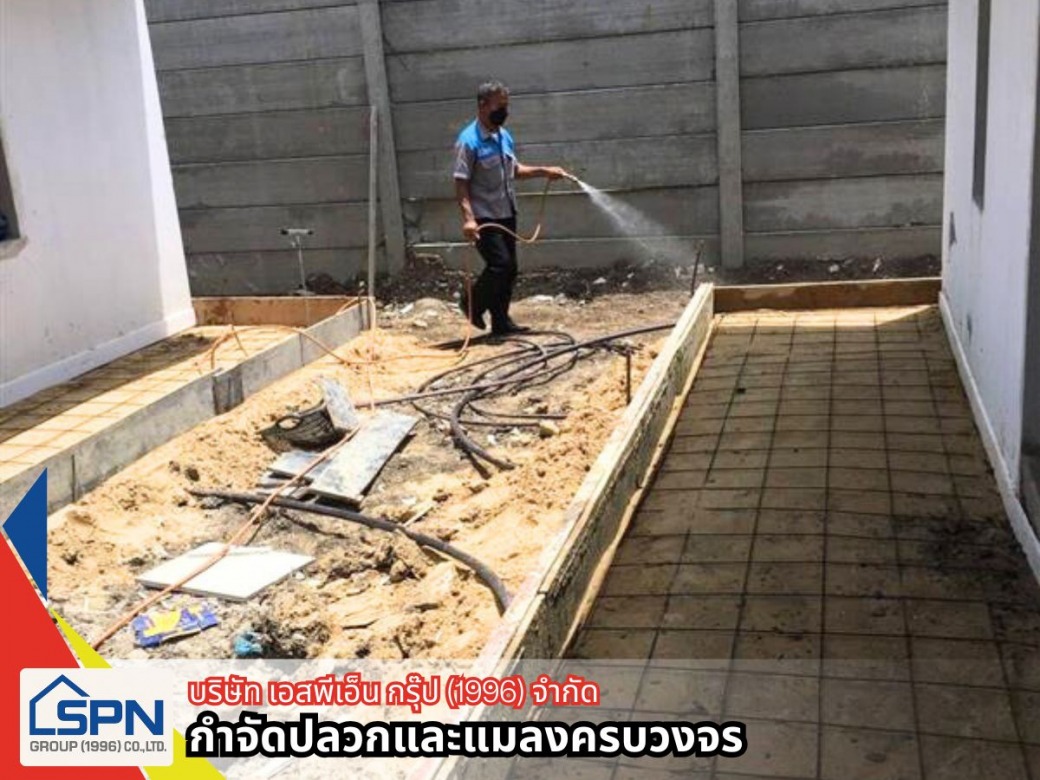 รับฉีดปลวก ราคาถูก