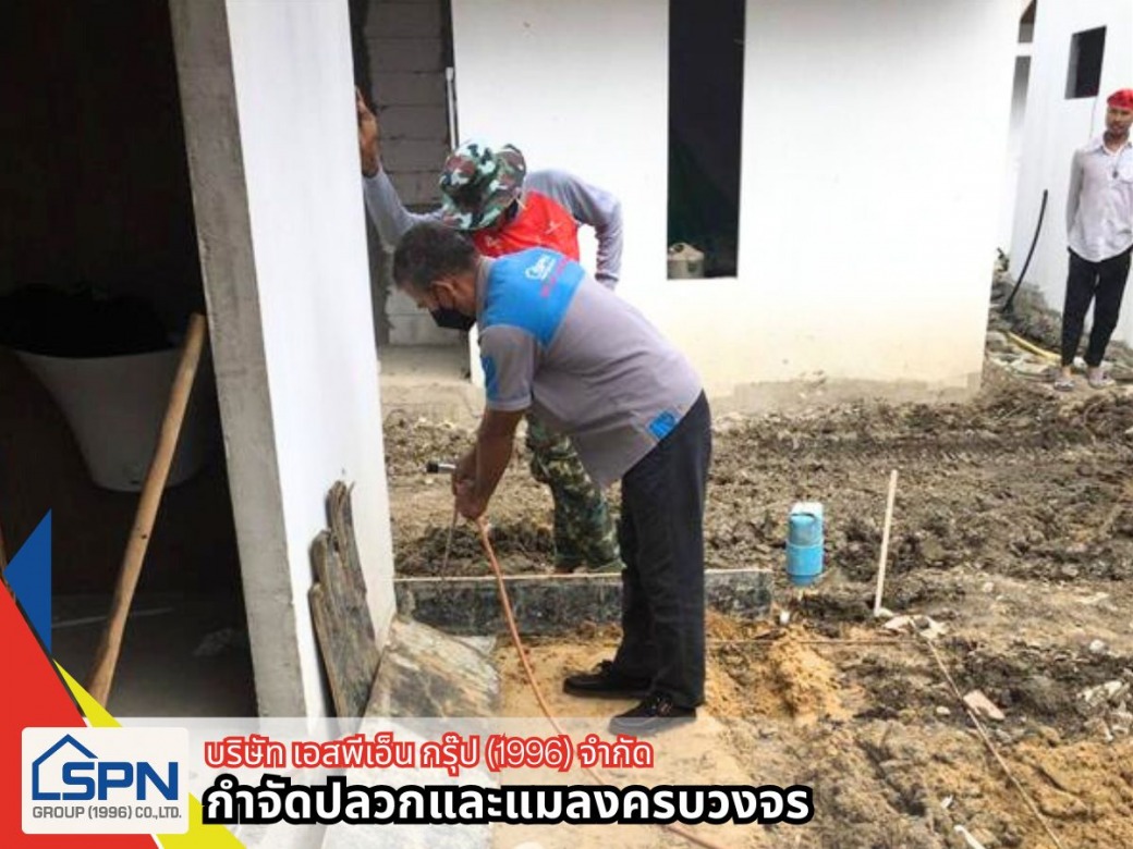 รับวางระบบกำจัดปลวกตามบ้าน