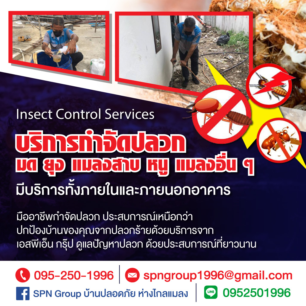 80038520-mobile-01-บริษัท-เอสพีเอ็น-กรุ๊ป-(1996)-จำกัด