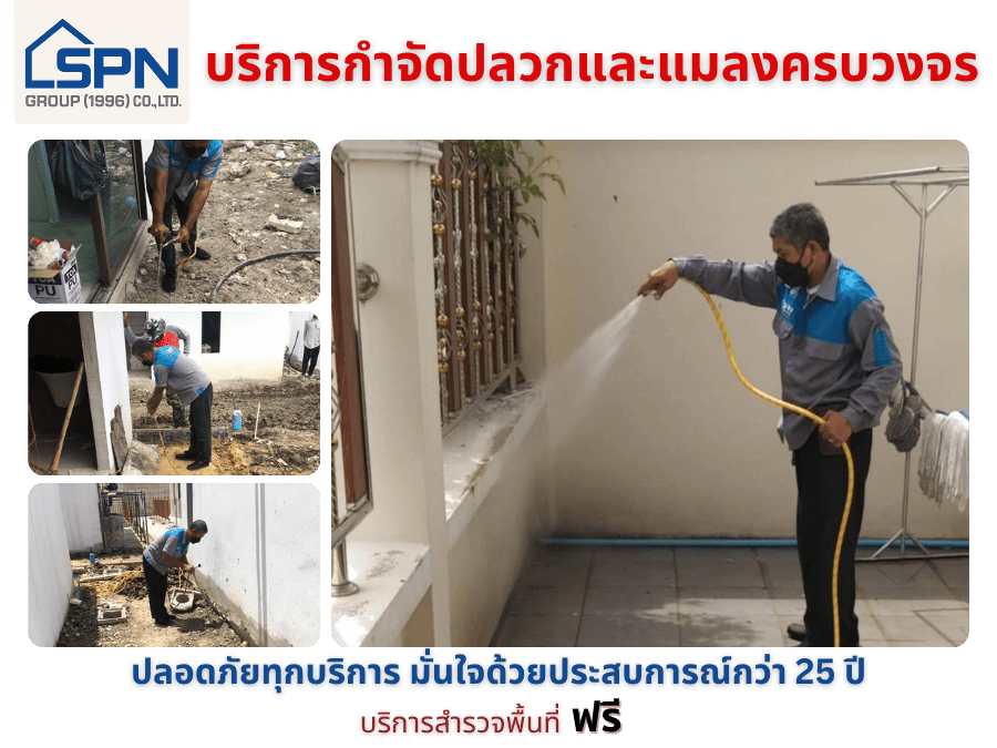 หาบริษัทรับกำจัดปลวก ราคาไม่แพง