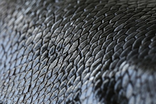 หนังเทียม