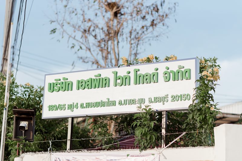 เอสพีเคไวท์โกลด์