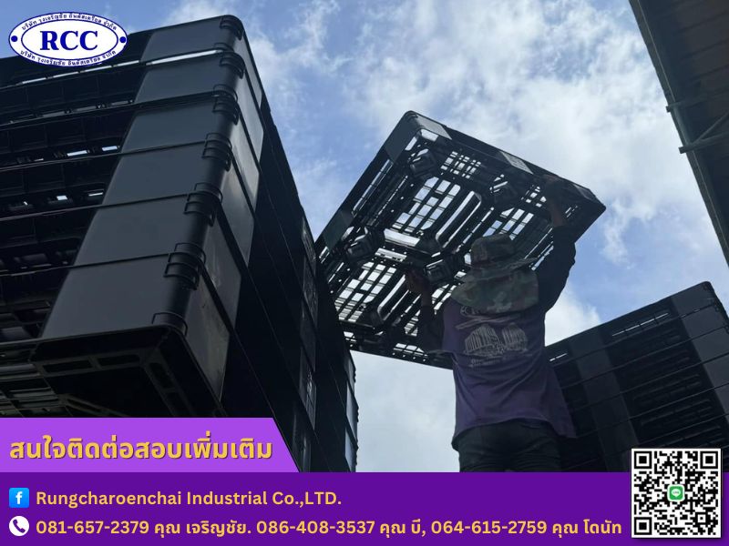 บริการจัดจำหน่ายพาเลทพลาสติกมือสอง บริการจัดจำหน่ายพาเลทพลาสติกมือสอง