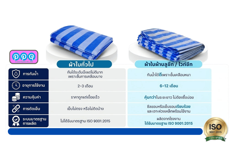 บริษัท พีพีที พลาส-แพค จำกัด