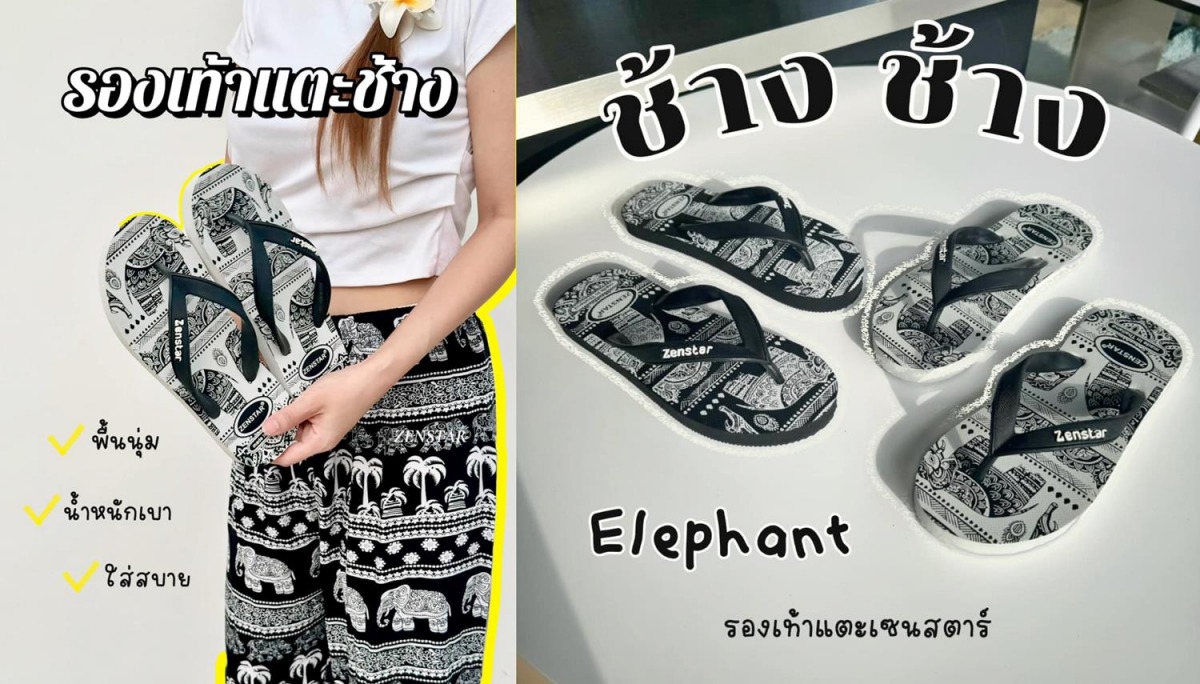 รองเท้าแตะฟองน้ำ ลายช้าง รองเท้าแตะฟองน้ำ ลายช้าง