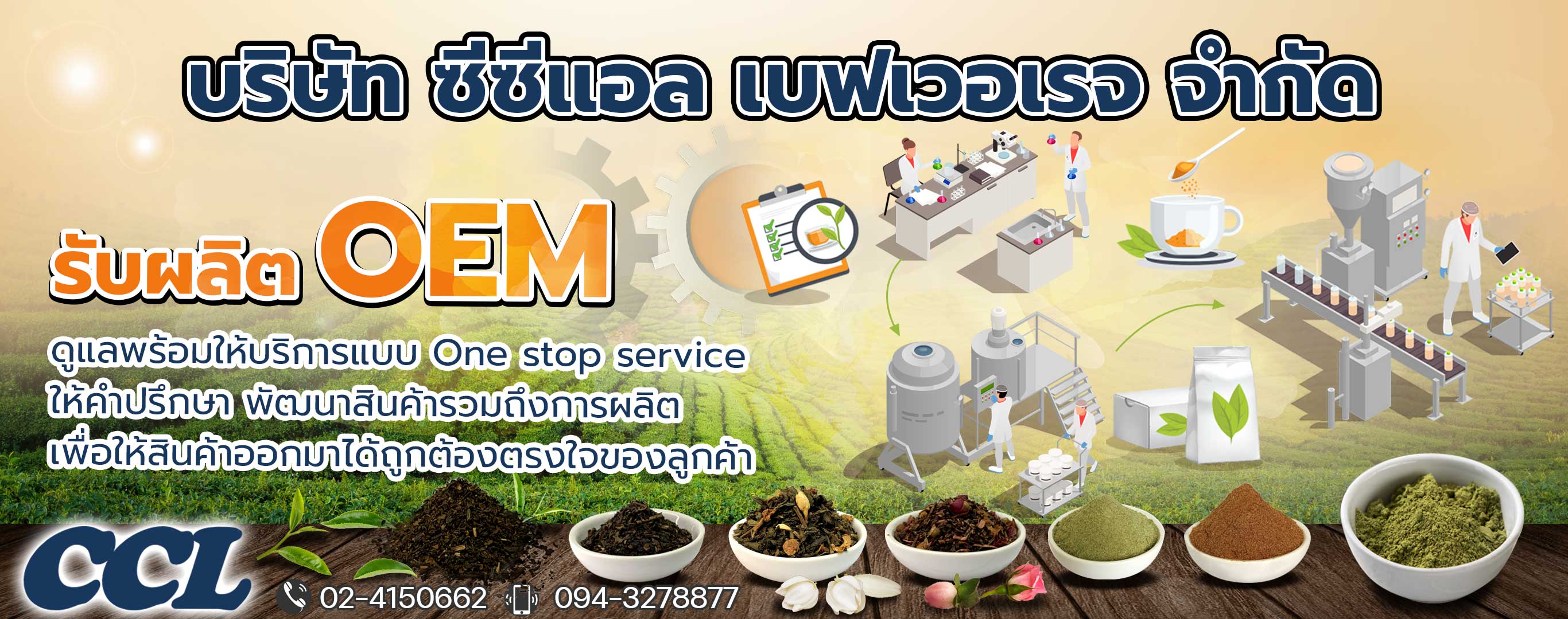ขายส่งชา รับผลิตชา OEM