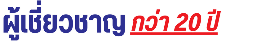 มืออาชีพกว่า 20 ปี