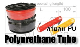 สายลม สายลม
