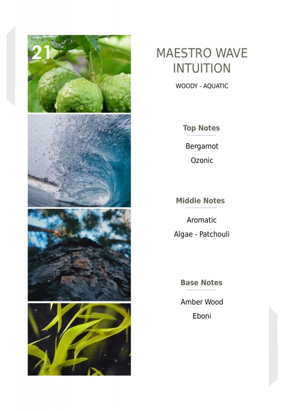 หัวเชื้อน้ำหอมจากฝรั่งเศส Maestro Wave Intuition