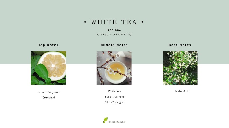 Reed Diffuser White Tea ก้านธูปหอม,น้ำมันหอมระเหย,น้ำหอมปรับอากาศ