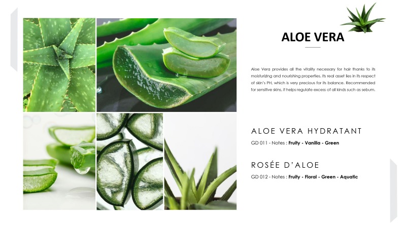 หัวน้ำหอมใส่แชมพูสระผม Aloe Vera