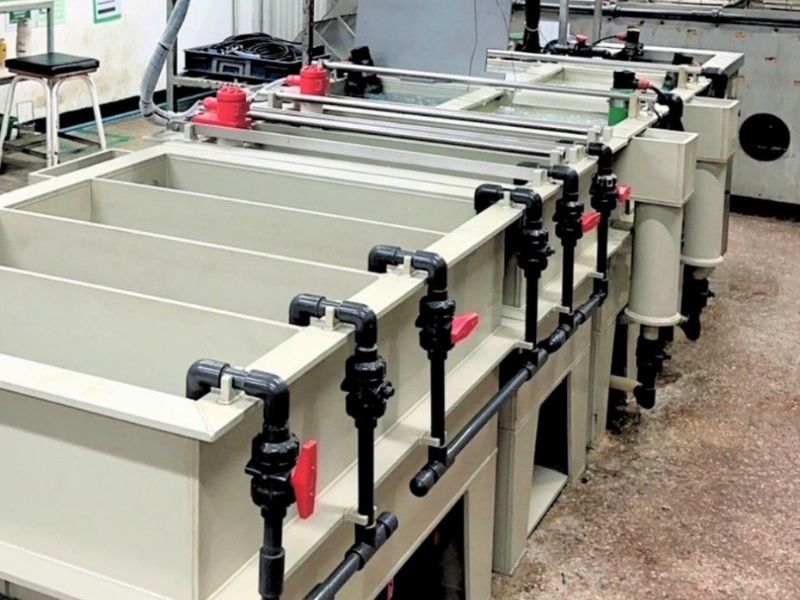 Plating Machine