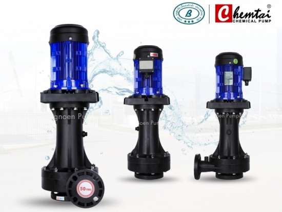 ปั๊มสูบเคมีแบบแนวตั้ง Vertical Chemical Pump