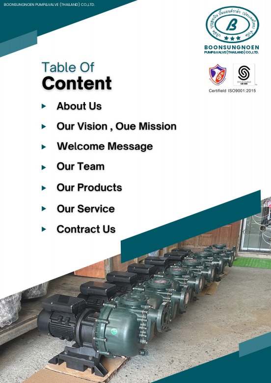 RV.2 BSN Company Profile 20241101_page-0002 RV.2 BSN Company Profile 20241101_page-0002