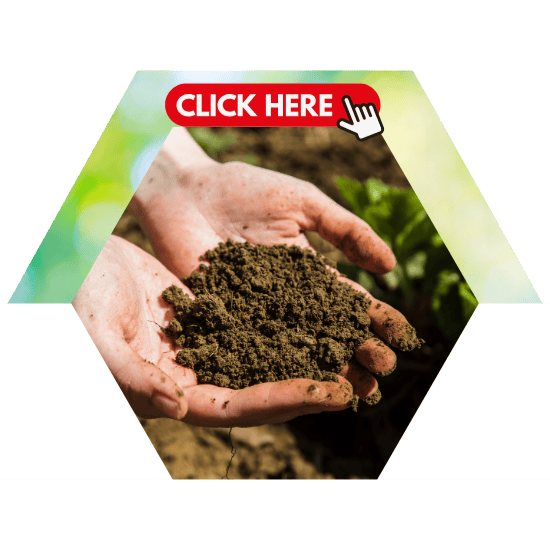 ข้อมูลสารปรับปรุงดิน (2)