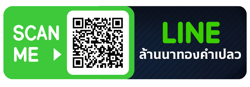 ล้านนาทองคำเปลว 