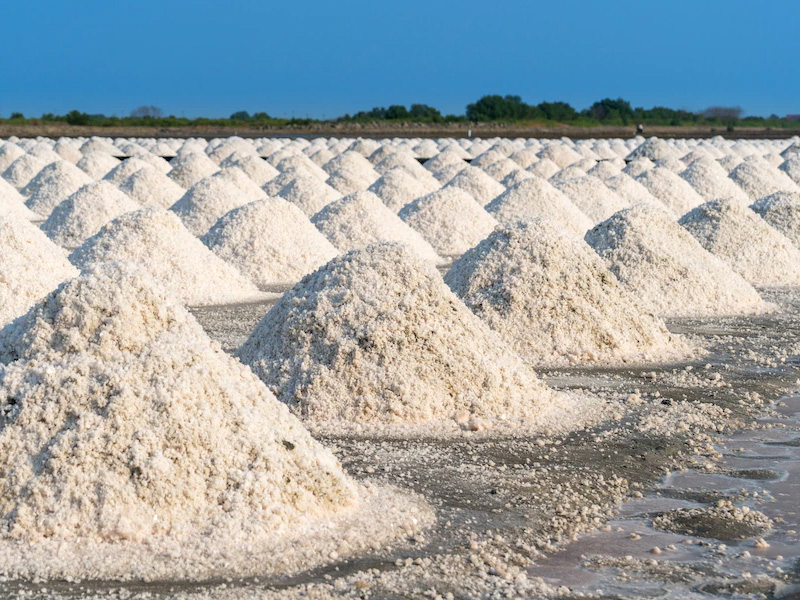 ผู้ผลิต ขายปลีก ขายส่งเกลือทะเล