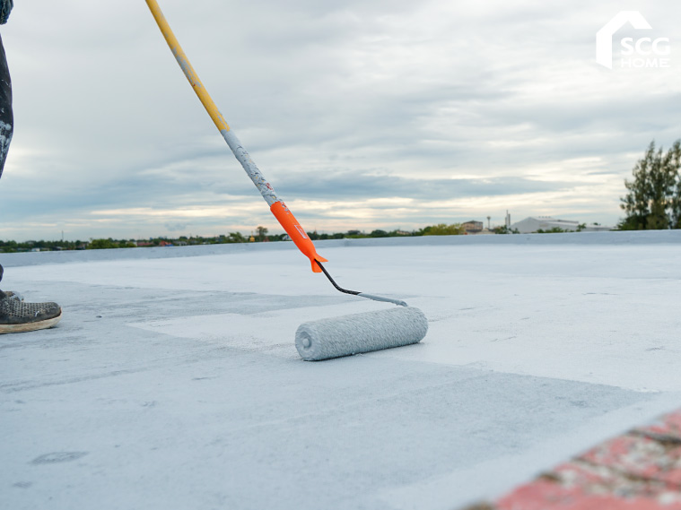 ทากันซึมดาดฟ้า