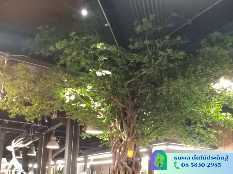 จัดสวนต้นไม้ปลอมขนาดใหญ่