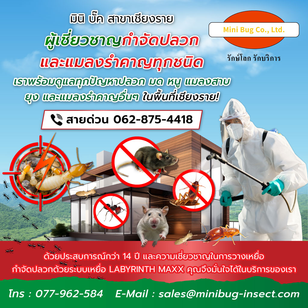 มินิบั๊ค บริการกำจัดปลวกมดหนูแมลงสาบยุง เชียงราย