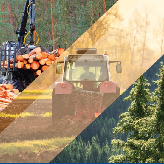 Biodegradable lubricants