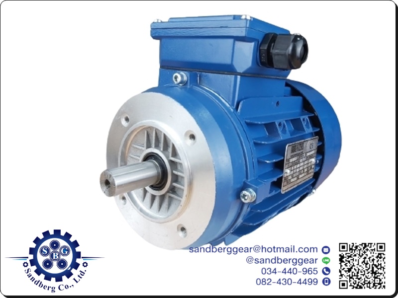 มอเตอร์อินดักชั่น หรือมอเตอร์เหนี่ยวนำ NIESEI Induction motor มอเตอร์อินดักชั่น หรือมอเตอร์เหนี่ยวนำ NIESEI Induction motor